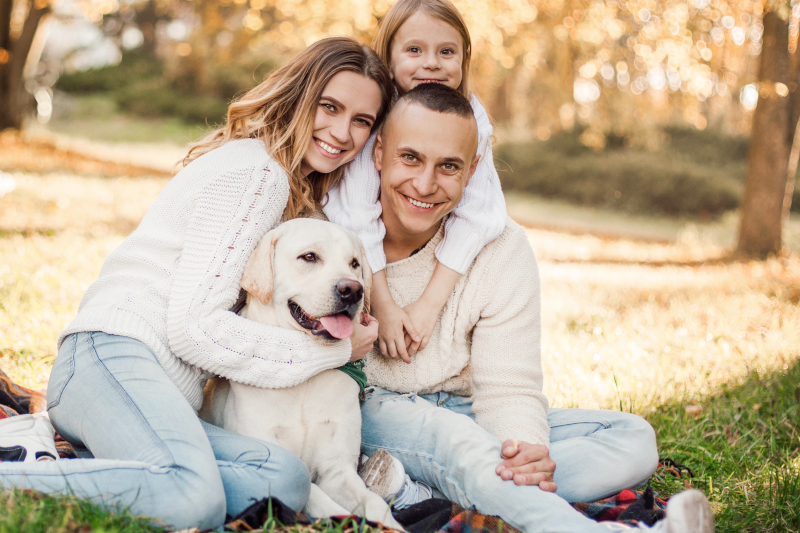 Veterinarian in Woodland, CA Veterinarian in Woodland, CA